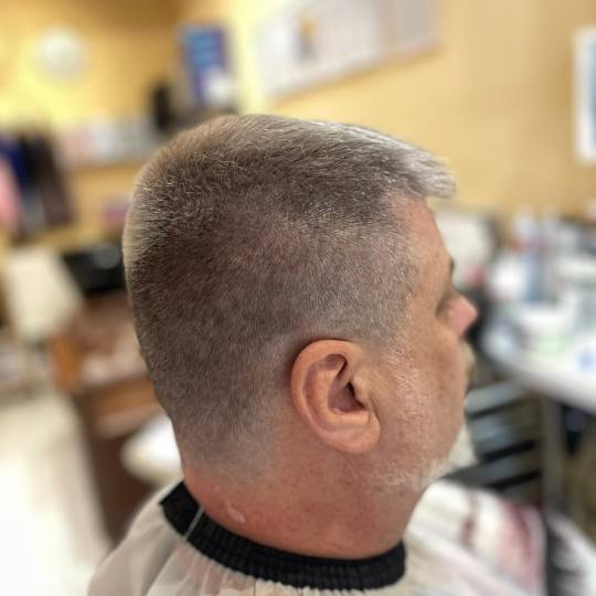 Poezija ljepote usluga