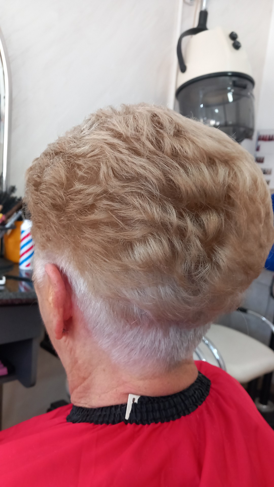 Snježana #sarajevo Minival Minival - kratka kosa