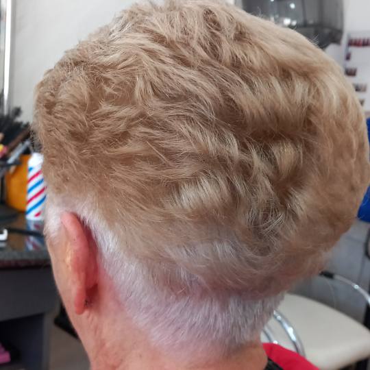 Snježana #sarajevo Minival Minival - kratka kosa Minival