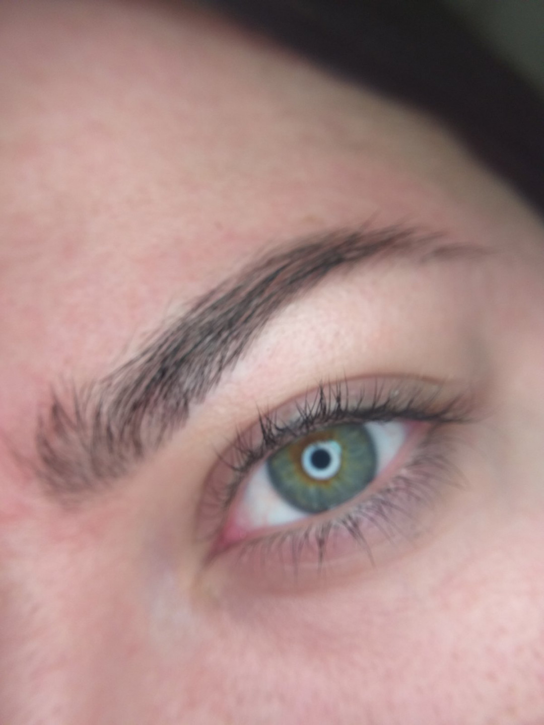 Henna obrve - La Vie beauty centar, Sarajevo Obrve Lice Obrve, Sarajevo, Centar - Stari Grad