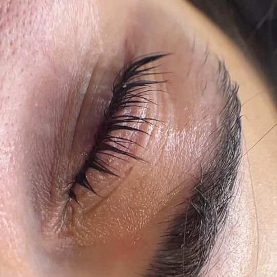 Elan beauty by Amra - Lash & Brow #sarajevo Trepavice Botox lash