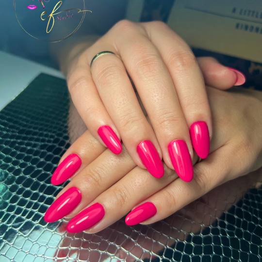 Studio ef #sarajevo Gel lak Trajni lak - S duzina