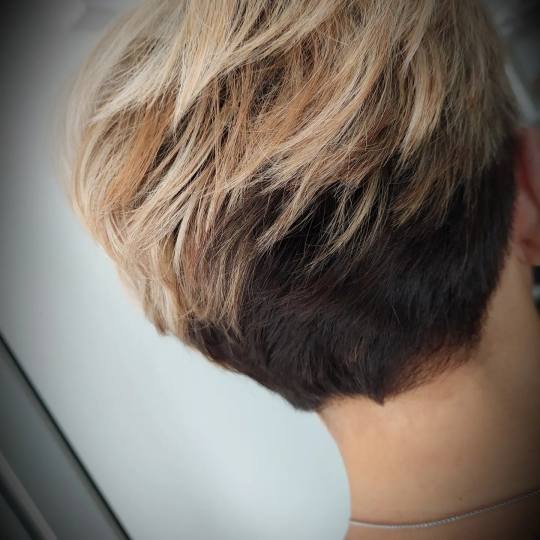 Frisco #sarajevo Pramenovi Pramenovi na foliju - kosa srednje dužine