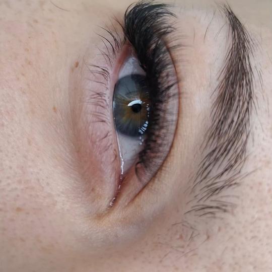 Poezija ljepote usluga