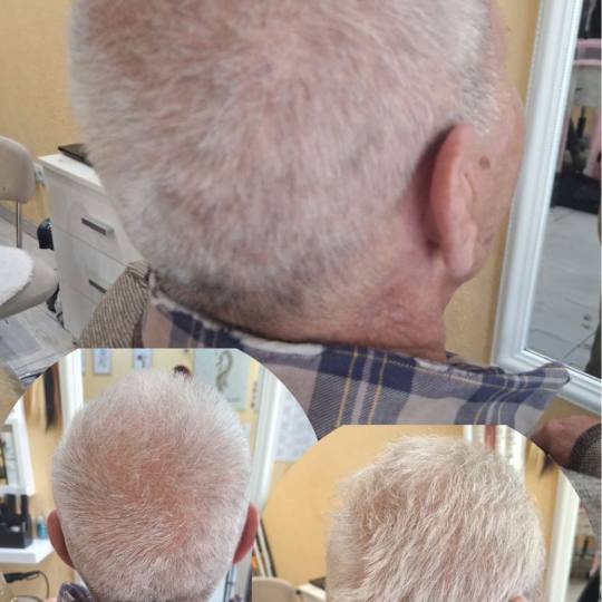 Poezija ljepote usluga