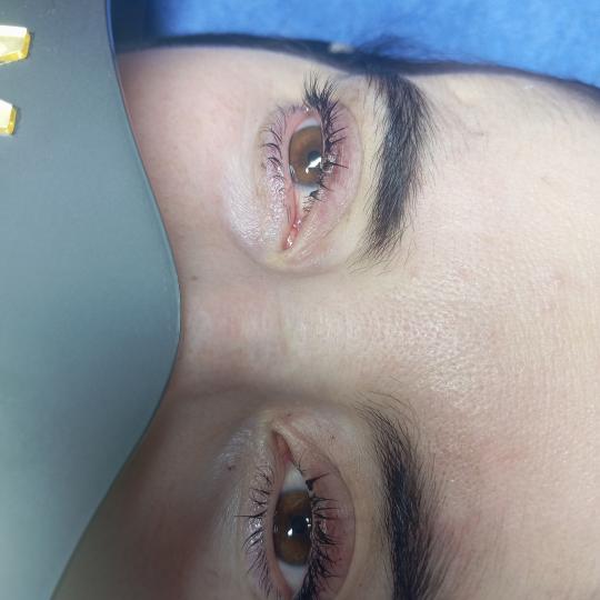 Medina Studio #sarajevo Trepavice Lash lift + farbanje trepavica Lice