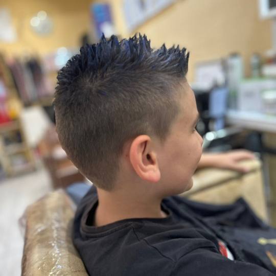 Poezija ljepote usluga