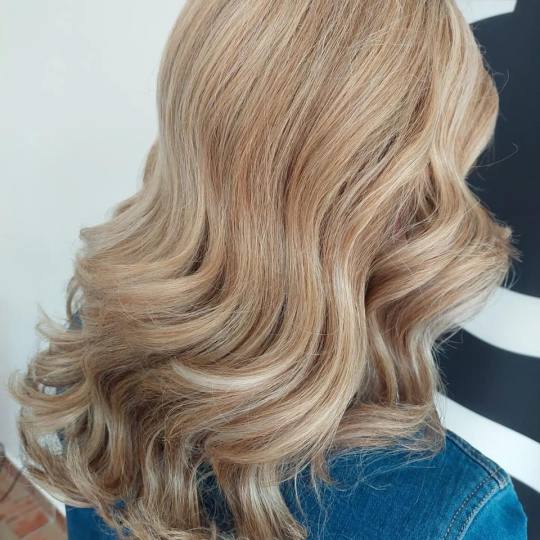 Frisco #sarajevo Pramenovi Pramenovi na foliju - duga kosa