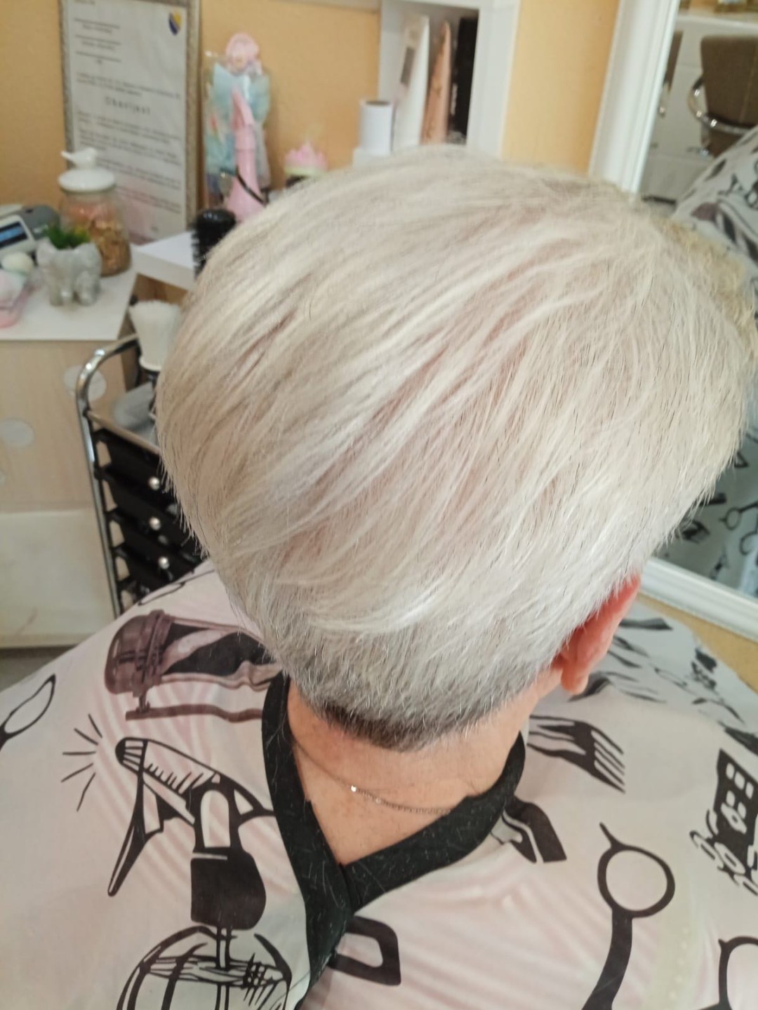 Poezija ljepote #sarajevo Žensko šišanje Žensko šišanje + pranje kose + feniranje - kratka kosa