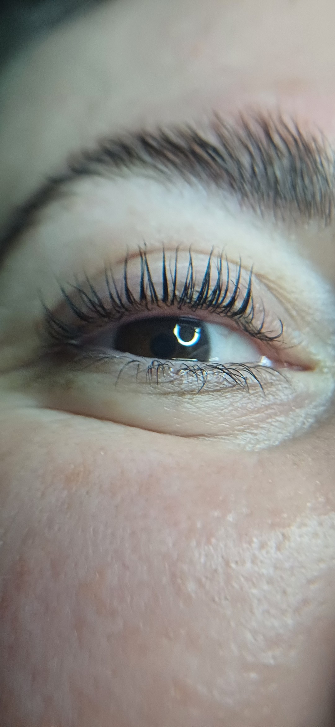 AMK #sarajevo Trepavice Lash lift