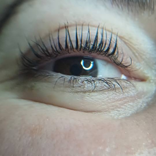 AMK #sarajevo Trepavice Lash lift